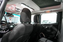 جيب رينيجيد